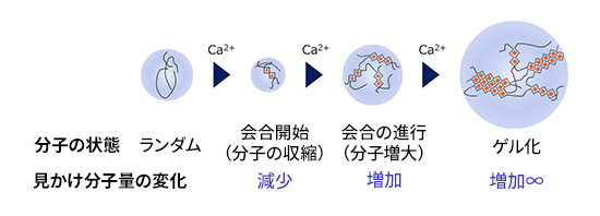 夢つづき2号