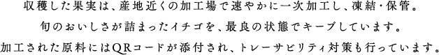 収穫した果実は、産地近くの加工場で速やかに一次加工し、凍結・保管。旬のおいしさが詰まったイチゴを、最良の状態でキープしています。加工された原料にはQRコードが添付され、トレーサビリティ対策も行っています。