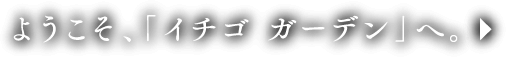 ようこそ、「イチゴ ガーデン」へ。