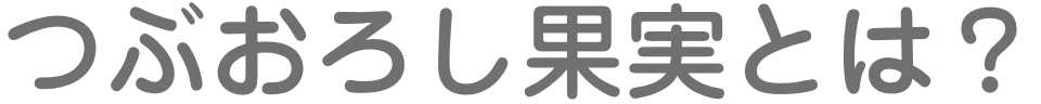 つぶおろし果実とは？